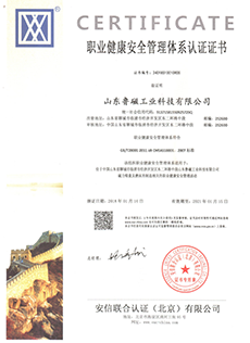 职业健康体系认证中文 001.png