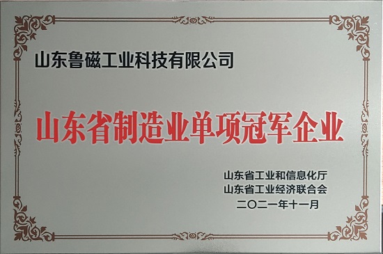 喜讯 ！我司荣获山东省制造业单项冠军企业！！！