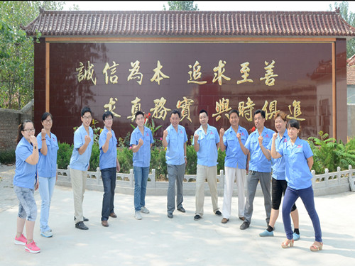 鲁磁团队
