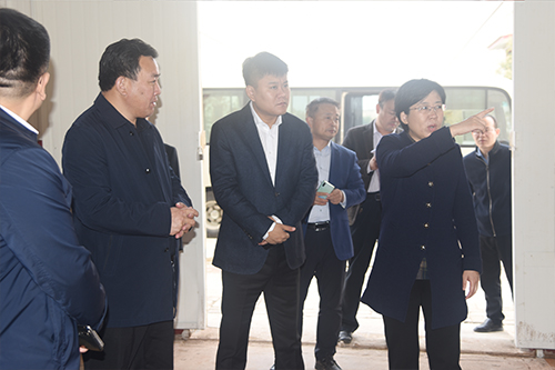 鲁磁科技