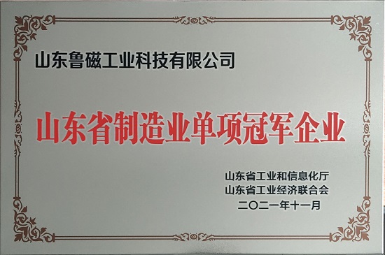 山东鲁磁工业科技有限公司