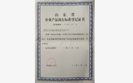 鲁磁山东省产品执行标准登记书