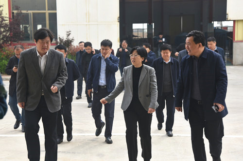 临清市长祁学兰前来山东鲁磁考察督导 临清市长祁学兰前来山东鲁磁考察督导